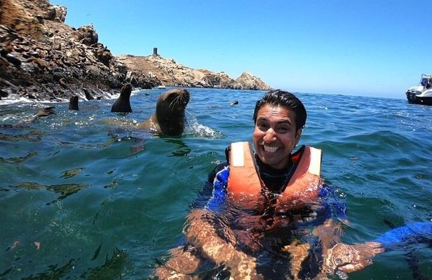Swimming with Sea Lions in Islas Palomino Lima