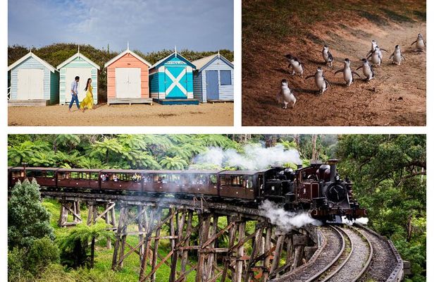 Brighton Bath Boxes & Puffing Billy & Penguin Parade 1-Day Tour