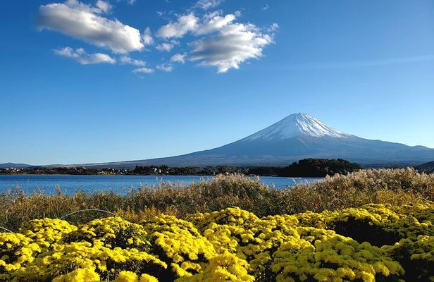 Guided Mount Fuji Private Tour GREEN NUMBER PLATES