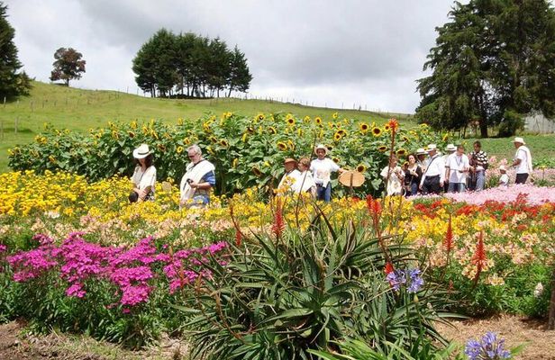 Private Tour Heart Fair Flowers + Adventure Park + Flower Farm