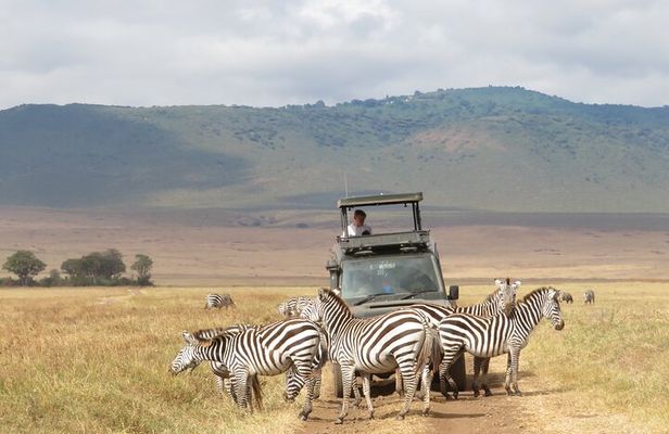 Private 5 Day Tanzania Safari Adventure Tour from Arusha