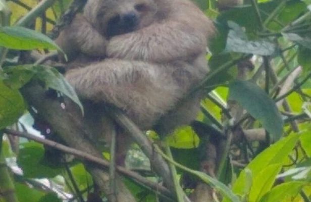 5 Activities in 1 Nature and Wildlife in Liberia