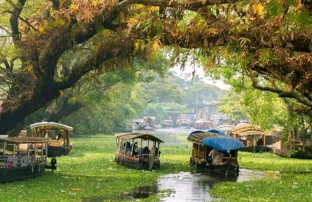 Shore Excursions Private & Customizable From Port-Pick & Drop