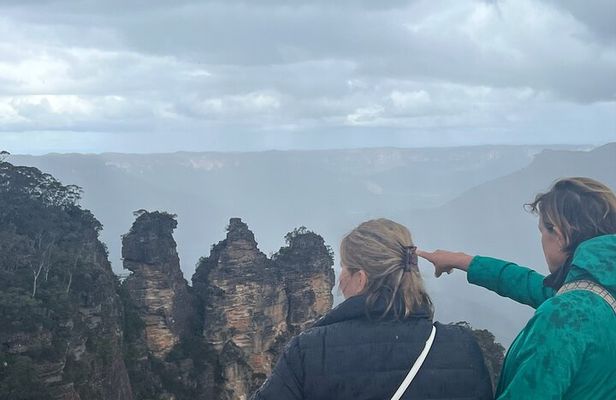 Private Blue Mountains Day Tour | Waterfalls, Koalas & Views