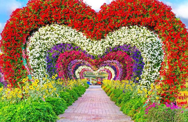 Miracle Garden Tickets and Pass with Pick Up and Drop Off