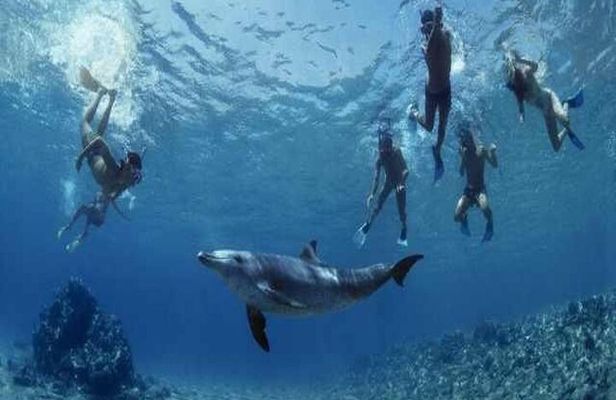 5H Red Sea Private Scuba Diving Adventure in Sharm El Sheikh