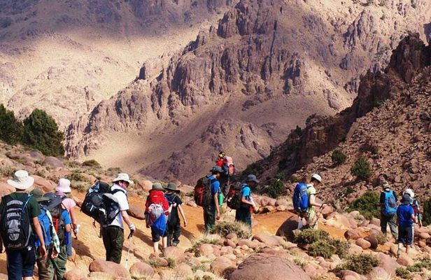 Atlas Mountain : Imlil Day Tour with Guide, camel ride and Lunch