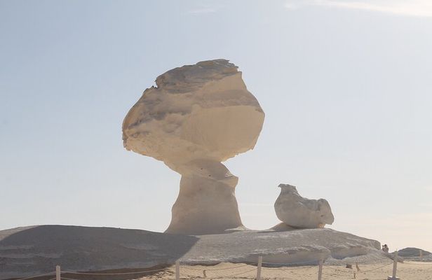 Private Tour: Two Days, One Night in the Black and White Desert