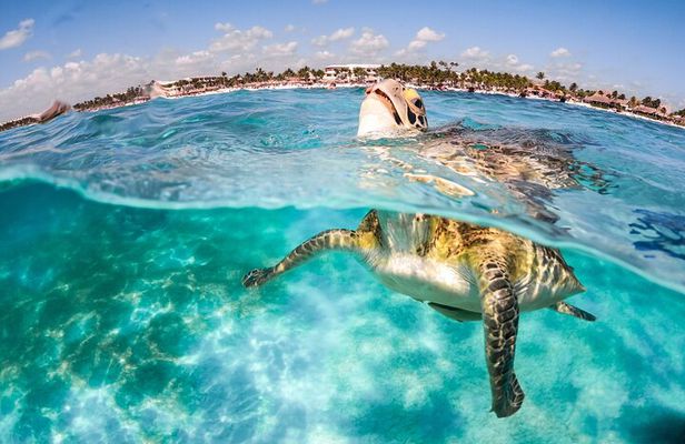 "Private Snorkeling with Turtles and Unforgettable Photos in Akumal"