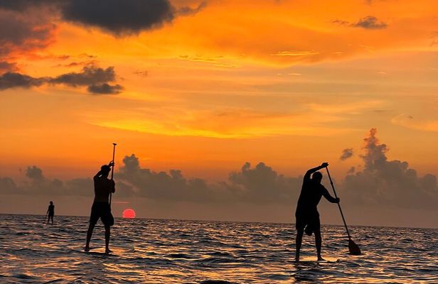 Sunrise Stand Up Paddle activity on a privileged beach.
