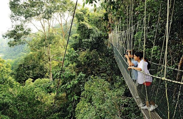 Taman Negara Rainforest Day Tour With Batu Caves Bonus Stop *26*