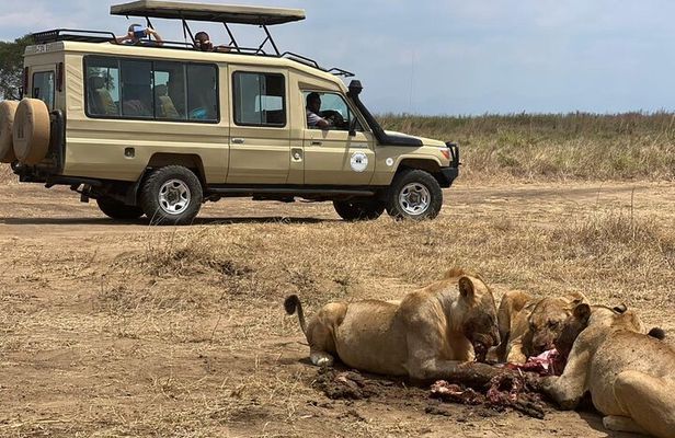 Arusha Tanzania 5 Day Safari Adventure