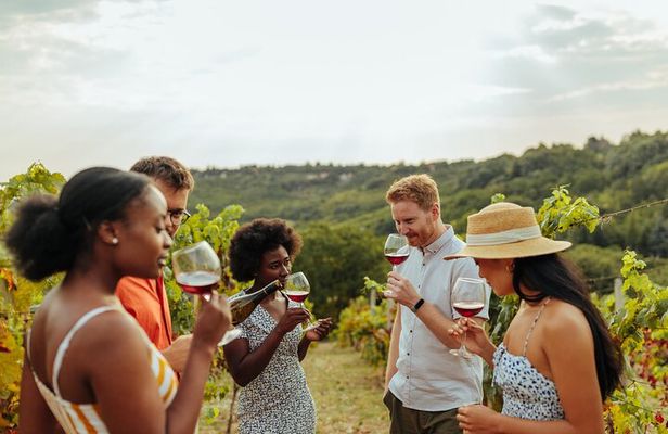 Sip and Savor: Private Yarra Valley Wine Tour from Melbourne