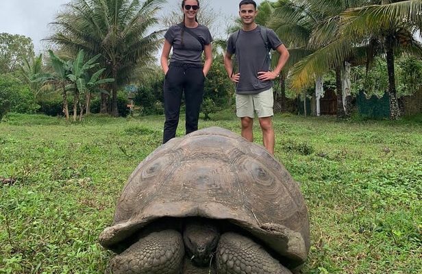 Adventure with Turtles, Lava Tunnels and Los Gemelos Craters
