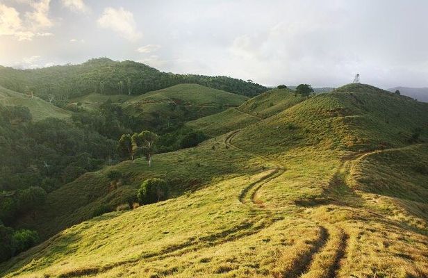 Mauritius: 2 Hours Buggy Ride - Bel Ombre Nature Reserve