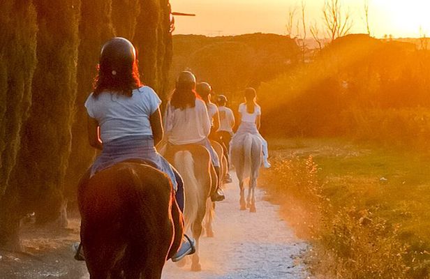 Horseback riding at sunset 1 hour at the Certosa di Pisa