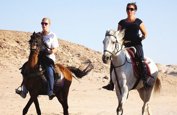 Hurghada Arabian Desert and Sea Horseback Adventure