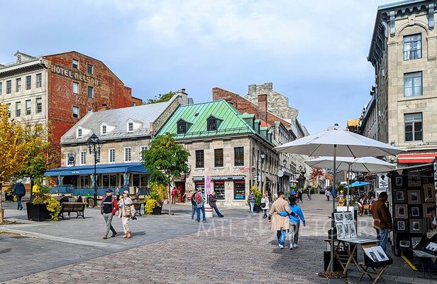 Explore Old Montreal Small Group Walking Tour by MTL Detours