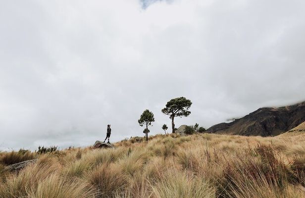 Hiking Tour on the Iztaccíhuatl Volcano from Puebla (private)