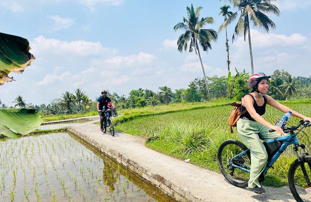 Ubud eBikes Tour to Tegallalang Rice Terrace