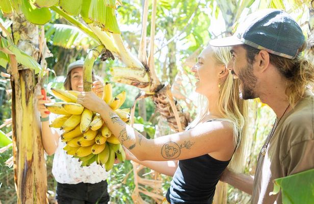 A Farm to Table Cooking Class