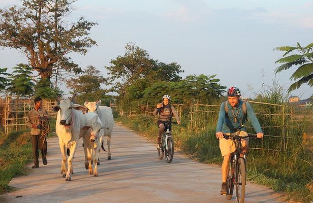 Silk Island at Twilight Cycle Encounter