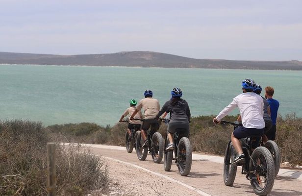 E-Bike Safari West Coast Full Day Tour in Cape Town