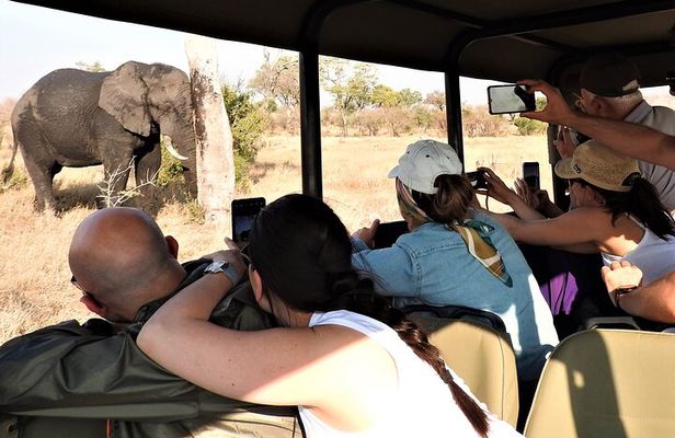 Private 4x4 Safari Tour in Kruger National Park
