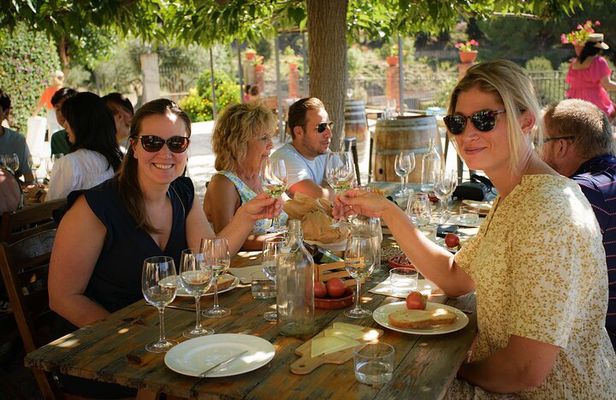 Ebike Tour, Winery, Wine Tasting & Sailing Experience(car option)