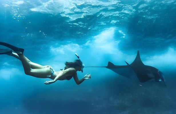Snorkeling In Nusa Penida Island With Manta Ray From Bali