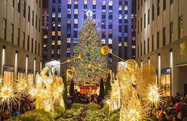 Private Christmas Lights Horse Carriage Tour In New York City