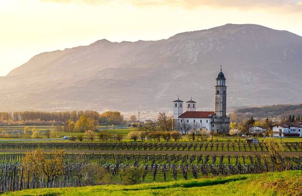 Vipava Valley Wine Express Tour From Ljubljana