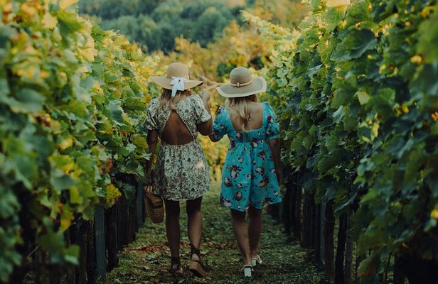 Private hedonistic food and wine experience from Zagreb