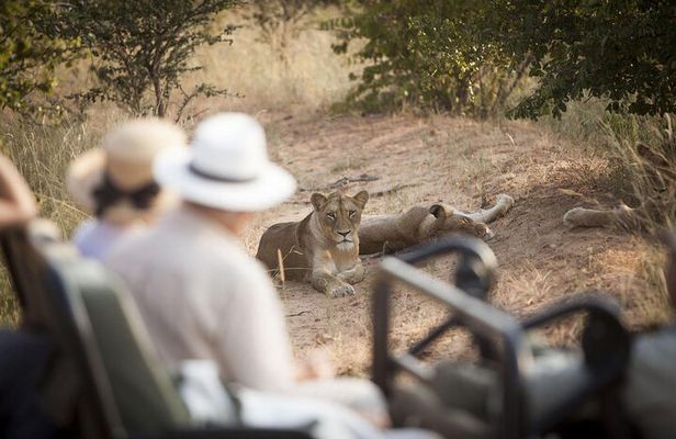 3 Day Kapama Southern Camp Safari