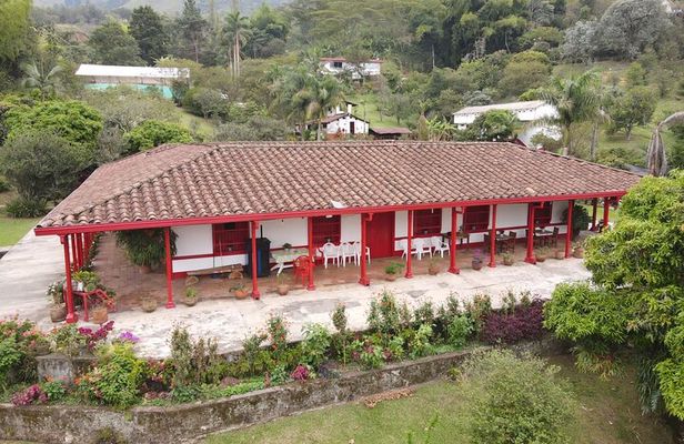 Half-day coffee tour at a coffee farm in Medellin.