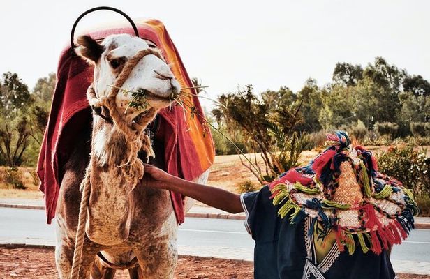 full day private tour of tangier from the cruise ship pick up