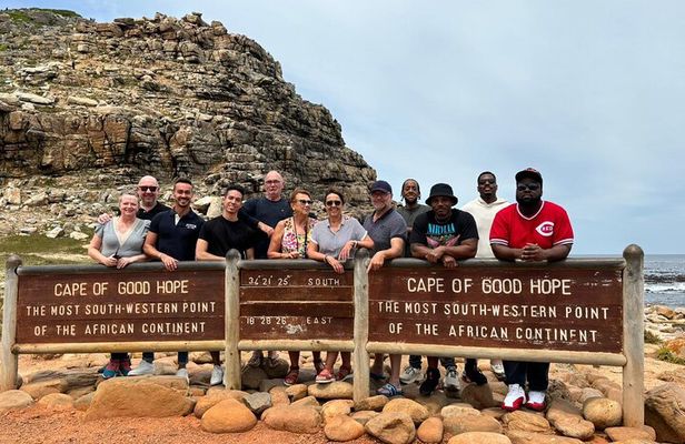 Cape of Good Hope and Penguin Beach Tour in Cape Town 