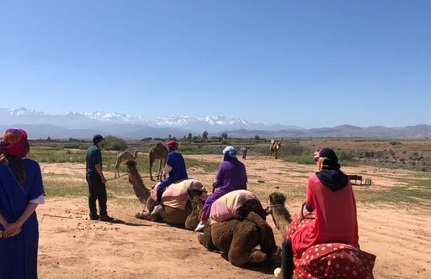 Agafay Desert: Excursion Quad bike, Camel Ride, dinner and Show 