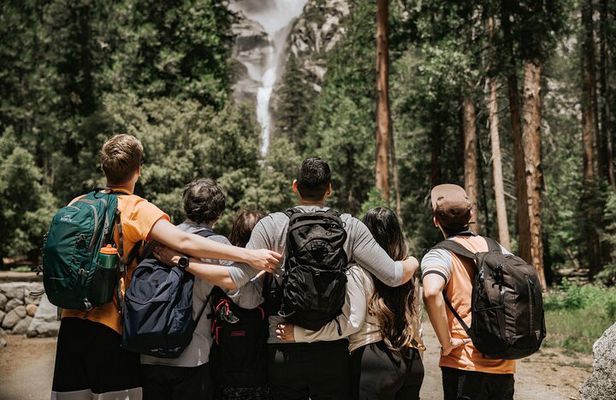 Yosemite Highlights & Giant Sequoias Day Tour from San Francisco