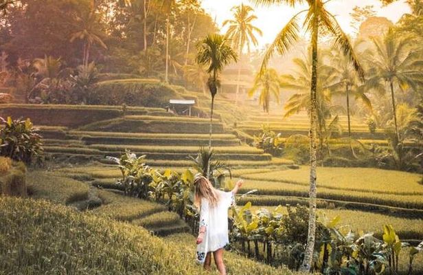 Half Day Tour: Discover Best of Ubud in 5 Hours