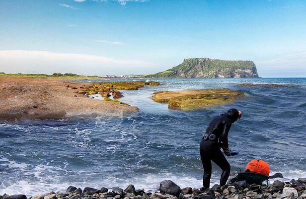 Jeju Island East UNESCO Day Tour