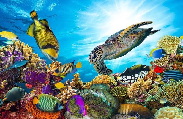 Sharm El Naga Full-Day Snorkeling Tour From Hurghada