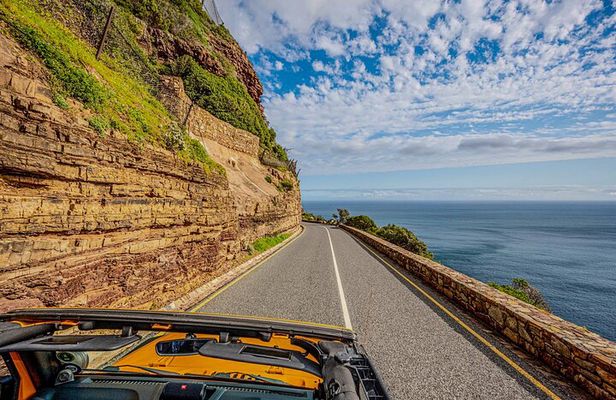 Half day Peninsula & Wine Combo tour