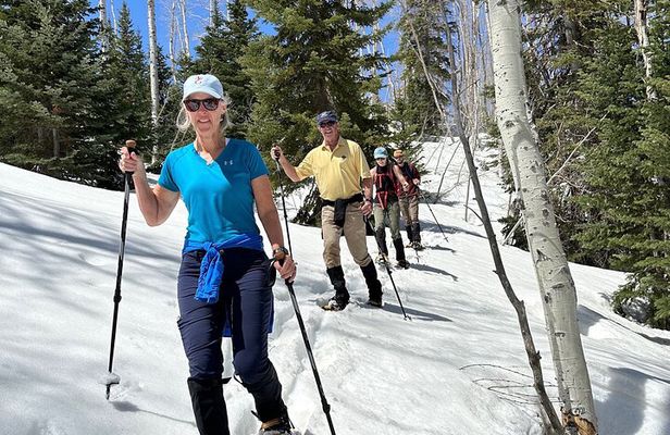 Privately Guided Snowshoe Experience