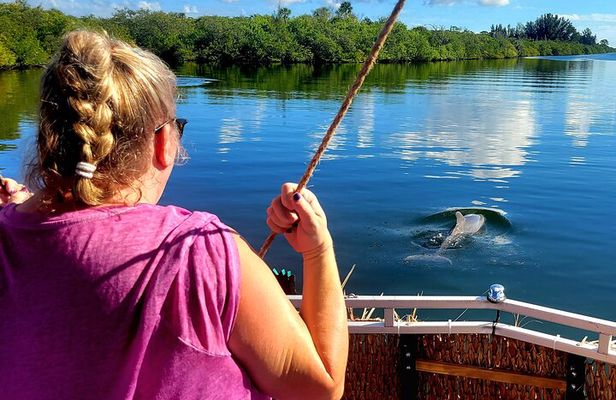 2 hour Dolphin Sightseeing Tour in Melbourne Florida 