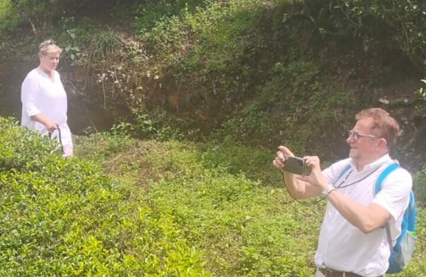 From Kochi: Day Tour to Munnar with Tea Garden and Waterfalls
