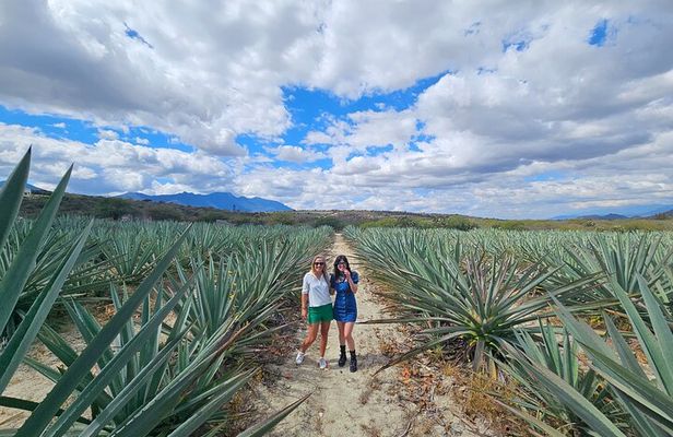 Danzantes Premium Mezcal, Hierve el Agua, Textiles & Lunch