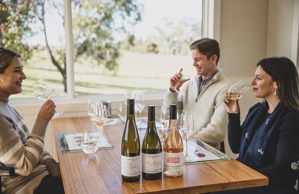 Savour with Swinging Bridge