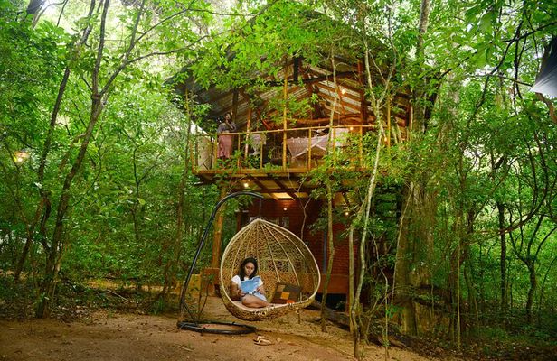 2 Nights in a Tree House in Sigiriya-with nature based activities