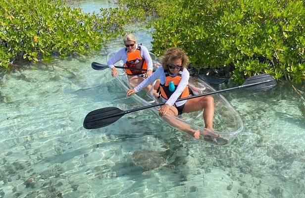 Mangrove Cay And Iguana Island Venture In Turks And Caicos Island